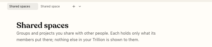 The Shared spaces screen in Trillion, with its description of what members can see.
